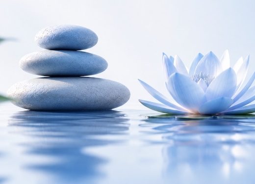 EmEase EMDR Emotional Wellness Tool to help process stress and difficult emotions