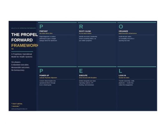 Kelly Malloy Propel Forward Framework for Health Systems